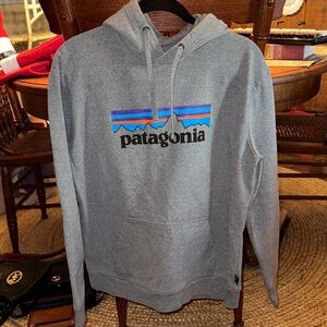Patagonia Gray Hoodie with Blue and Purple Accents